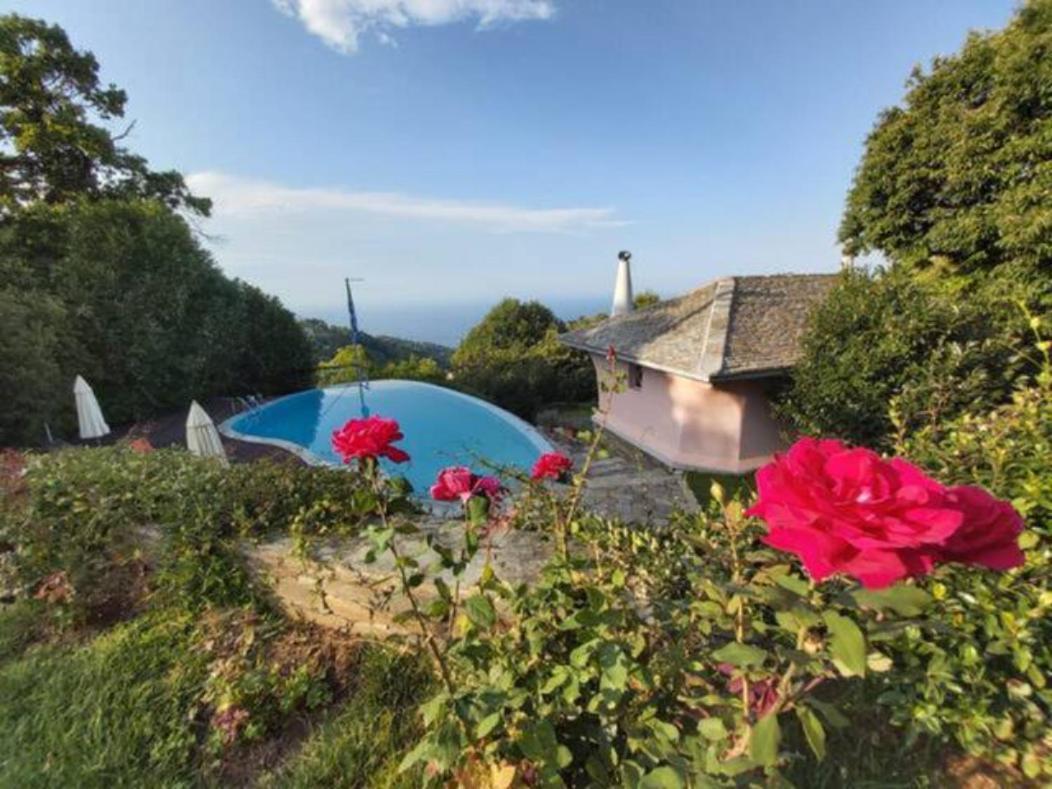 Vila Tsagkarada Country Estate With Pool Exteriér fotografie