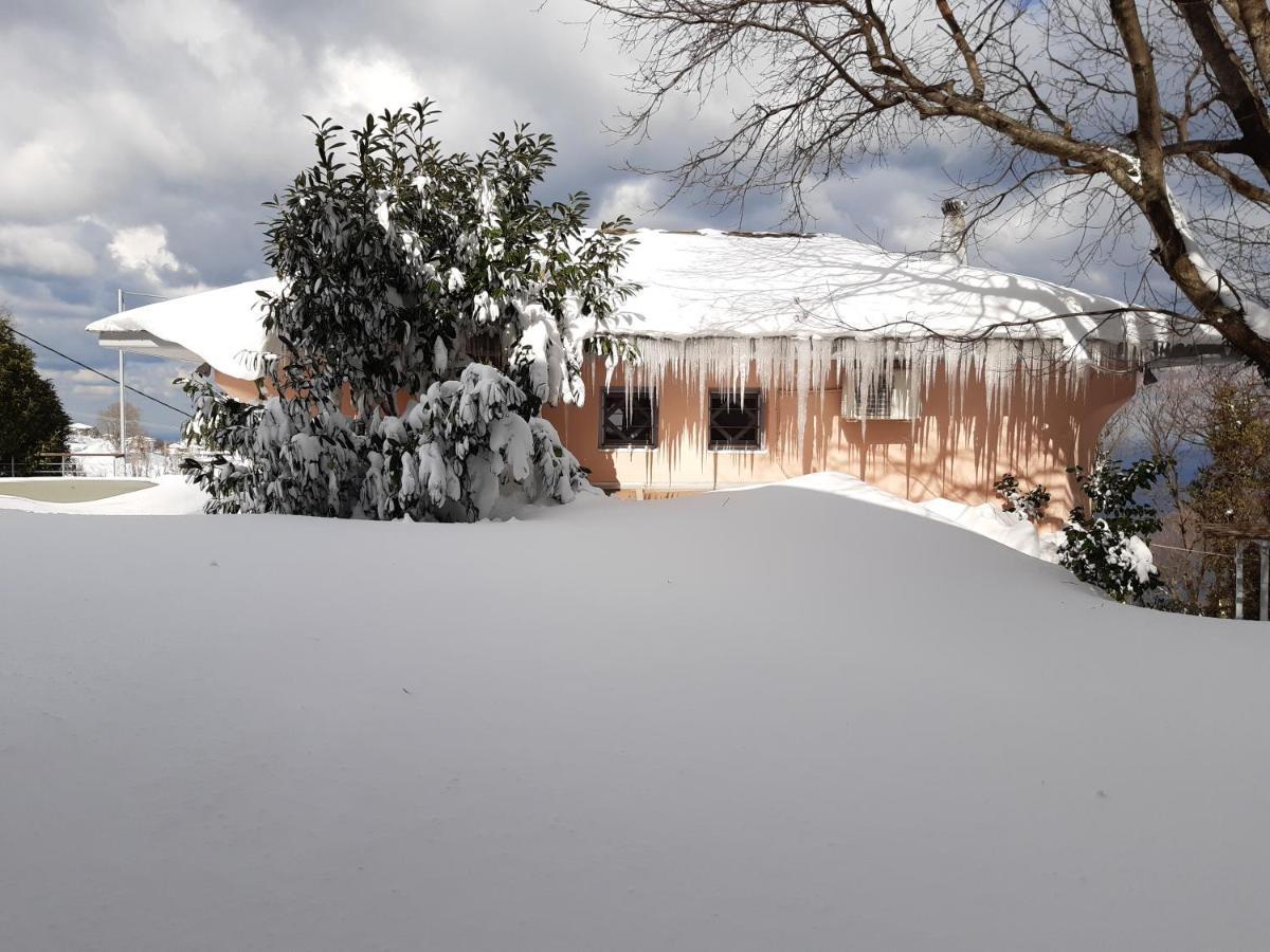 Vila Tsagkarada Country Estate With Pool Exteriér fotografie